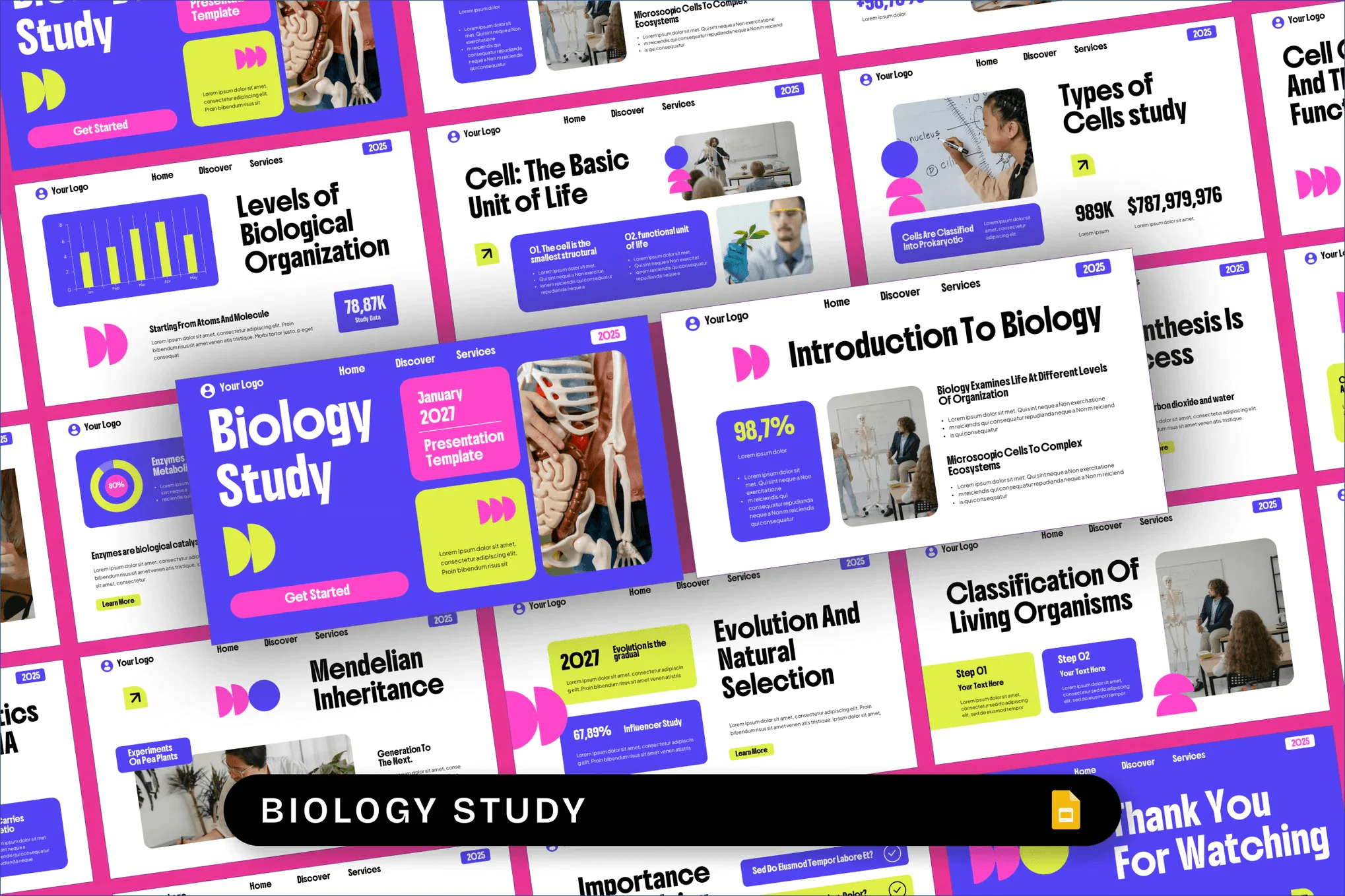 Biology Study Google Slides